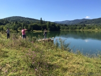 СРОЧНО!!! Продам форелевое хозяйство в Ивано-Франковская область. - <ro>Изображение</ro><ru>Изображение</ru> #6, <ru>Объявление</ru> #1563036