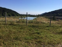 СРОЧНО!!! Продам форелевое хозяйство в Ивано-Франковская область. - <ro>Изображение</ro><ru>Изображение</ru> #5, <ru>Объявление</ru> #1563036