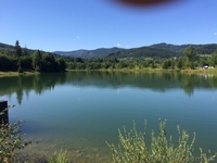 СРОЧНО!!! Продам форелевое хозяйство в Ивано-Франковская область. - <ro>Изображение</ro><ru>Изображение</ru> #9, <ru>Объявление</ru> #1563036