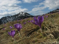 Поход в Карпаты: челендж, который изменит вашу жизнь! - <ro>Изображение</ro><ru>Изображение</ru> #5, <ru>Объявление</ru> #1564854