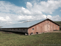 Продажа Ферми Виробниче Приміщення 1200 м2 Земельна Ділянка 8 Га - <ro>Изображение</ro><ru>Изображение</ru> #3, <ru>Объявление</ru> #1594747