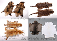 Пошив, реставрация кожи, меха, курток, жилетов, дубленок,шуб  - <ro>Изображение</ro><ru>Изображение</ru> #9, <ru>Объявление</ru> #1632485