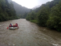 Продам земельну ділянку с.Дземброня - <ro>Изображение</ro><ru>Изображение</ru> #1, <ru>Объявление</ru> #1666490