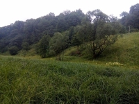 Продам земельну ділянку с.Дземброня - <ro>Изображение</ro><ru>Изображение</ru> #2, <ru>Объявление</ru> #1666490