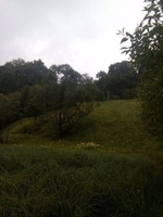 Продам земельну ділянку с.Дземброня - <ro>Изображение</ro><ru>Изображение</ru> #5, <ru>Объявление</ru> #1666490