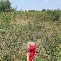 Земельна ділянка в м-н Опришівці - <ro>Изображение</ro><ru>Изображение</ru> #2, <ru>Объявление</ru> #1666565