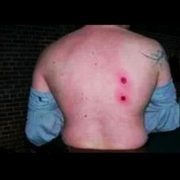 РОГАТКА Убойна Сила!!!Потужная РОГАТКА!!! - <ro>Изображение</ro><ru>Изображение</ru> #2, <ru>Объявление</ru> #1677654