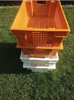 Харчові господарські пластикові ящики для м'яса молока риби ягід Ивано-Франковск - <ro>Изображение</ro><ru>Изображение</ru> #5, <ru>Объявление</ru> #1708000