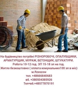 Робота в Польщі: Вроцлав, Ополе, Жешув, Нава Суль - <ro>Изображение</ro><ru>Изображение</ru> #4, <ru>Объявление</ru> #1714448