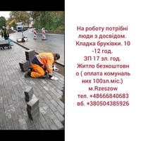 Робота в Польщі: Вроцлав, Ополе, Жешув, Нава Суль - <ro>Изображение</ro><ru>Изображение</ru> #7, <ru>Объявление</ru> #1714448