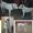 продам щенков алабая САО среднеазиатскую овчарку - <ro>Изображение</ro><ru>Изображение</ru> #3, <ru>Объявление</ru> #506496