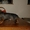 Щенки жесткошерстной таксы миниатюра, кролик - <ro>Изображение</ro><ru>Изображение</ru> #3, <ru>Объявление</ru> #613135