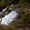 коттедж "Саламандра"для отдыха в горах - <ro>Изображение</ro><ru>Изображение</ru> #6, <ru>Объявление</ru> #993582