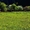 Продажа земельного участка в Карпатах - <ro>Изображение</ro><ru>Изображение</ru> #2, <ru>Объявление</ru> #1348510