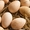 Продам інкубаційне качине яйце