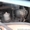 Продаем колесный экскаватор-погрузчик ЭО-2625, МТЗ 80,1992 г.в. - <ro>Изображение</ro><ru>Изображение</ru> #10, <ru>Объявление</ru> #1556439