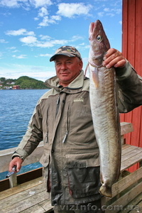 Рыбалка в Норвегии - <ro>Изображение</ro><ru>Изображение</ru> #2, <ru>Объявление</ru> #587688