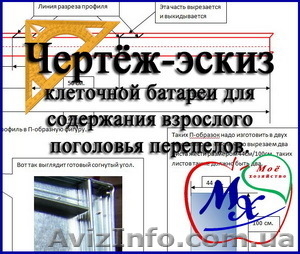 Клетка для перепелов своими руками. Чертёж