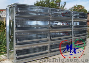 Клеточное оборудование для перепелиного хозяйства на 1000 голов.