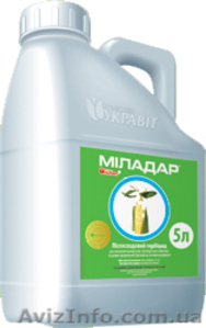 Продам Голд Стар,  ВГ (Трибенурон-метил,  750 г/кг) (Гранстар)