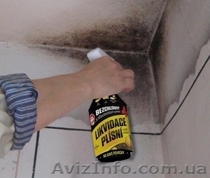 Чешское бесхлорное средство для ликвидации плесени FungiSPRAY 