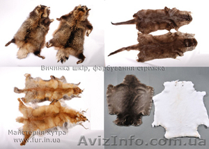  Услуги по выделке натурального меха. Украина. 