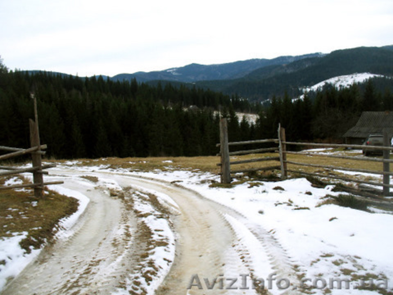 Земля в Карпатах (Микуличин)  - <ro>Изображение</ro><ru>Изображение</ru> #3, <ru>Объявление</ru> #31527