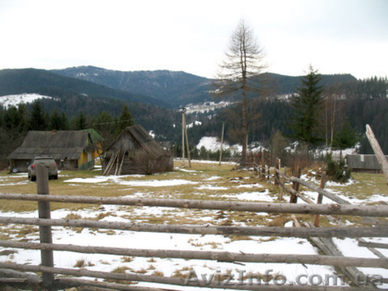 Земля в Карпатах (Микуличин)  - <ro>Изображение</ro><ru>Изображение</ru> #4, <ru>Объявление</ru> #31527