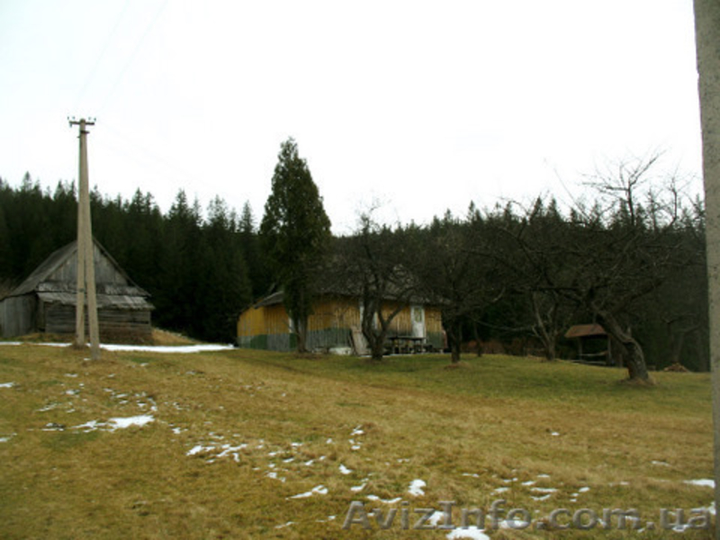 Земля в Карпатах (Микуличин)  - <ro>Изображение</ro><ru>Изображение</ru> #5, <ru>Объявление</ru> #31527