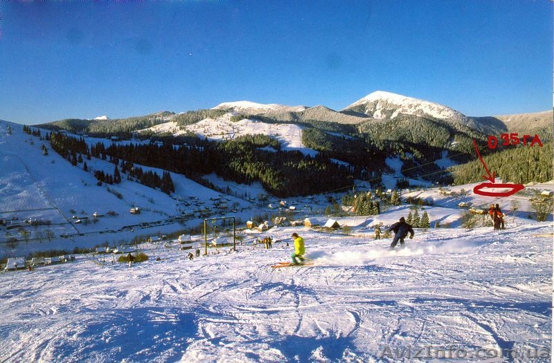 УЧАСТОК МВ КАРПАТАХ - <ro>Изображение</ro><ru>Изображение</ru> #1, <ru>Объявление</ru> #55146