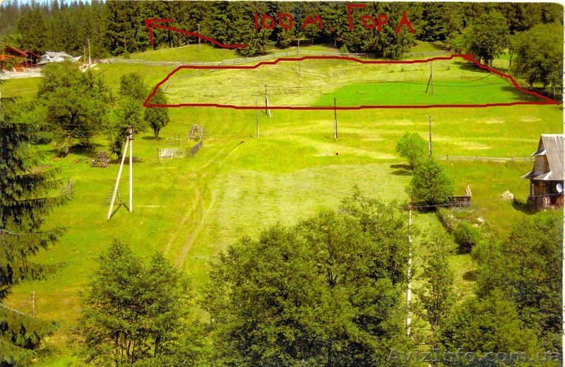 УЧАСТОК МВ КАРПАТАХ - <ro>Изображение</ro><ru>Изображение</ru> #2, <ru>Объявление</ru> #55146