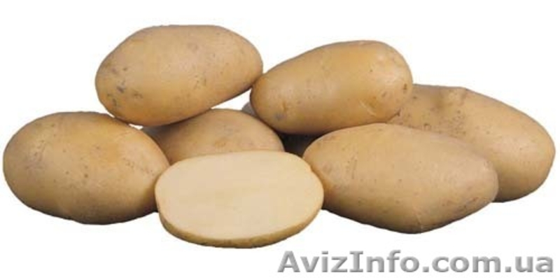 Реализуем овощи со своего огорода. - <ro>Изображение</ro><ru>Изображение</ru> #1, <ru>Объявление</ru> #52137