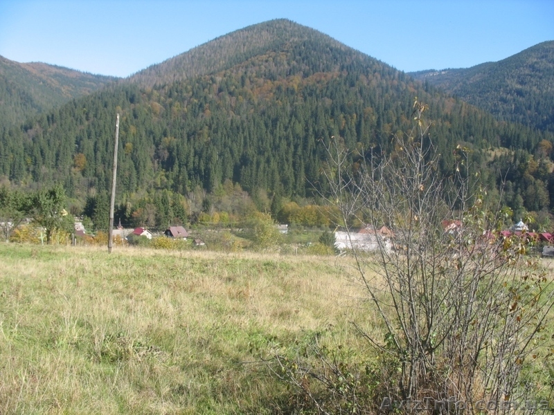 земельна ділянка Карпати - <ro>Изображение</ro><ru>Изображение</ru> #1, <ru>Объявление</ru> #117869