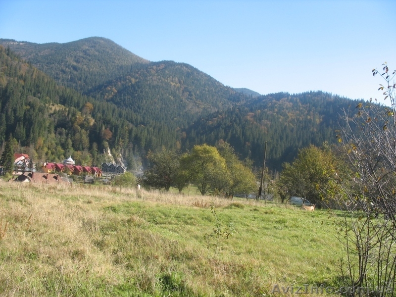 ЗЕМЕЛЬНІ ДІЛЯНКИ В КАРПАТАХ Татарів - <ro>Изображение</ro><ru>Изображение</ru> #3, <ru>Объявление</ru> #176781