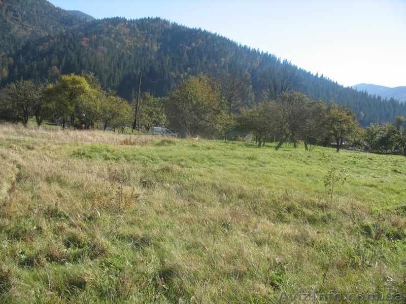 ЗЕМЕЛЬНІ ДІЛЯНКИ В КАРПАТАХ Татарів - <ro>Изображение</ro><ru>Изображение</ru> #4, <ru>Объявление</ru> #176781