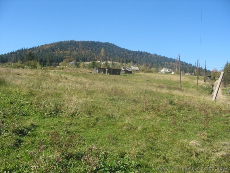 ЗЕМЕЛЬНІ ДІЛЯНКИ В КАРПАТАХ Татарів - <ro>Изображение</ro><ru>Изображение</ru> #5, <ru>Объявление</ru> #176781