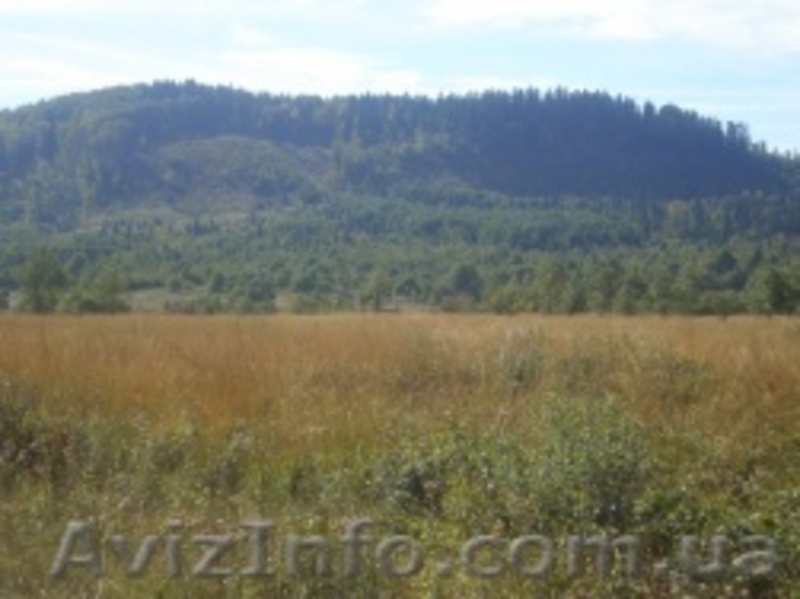 Земельный участок в Карпатах - <ro>Изображение</ro><ru>Изображение</ru> #3, <ru>Объявление</ru> #188314