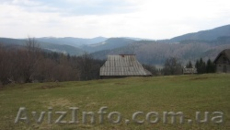Земля в Карпатах под застройку - <ro>Изображение</ro><ru>Изображение</ru> #1, <ru>Объявление</ru> #188306