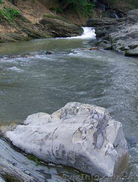 с.Шешоры,продажа участка 60 соток возле горнолыжного подъёмника.Без комиссии. - <ro>Изображение</ro><ru>Изображение</ru> #1, <ru>Объявление</ru> #186939