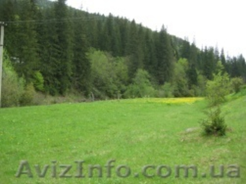 Участок под строительство   - <ro>Изображение</ro><ru>Изображение</ru> #3, <ru>Объявление</ru> #188310