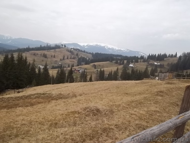 земля Яблуница новая дорога на Буковель - <ro>Изображение</ro><ru>Изображение</ru> #2, <ru>Объявление</ru> #243655