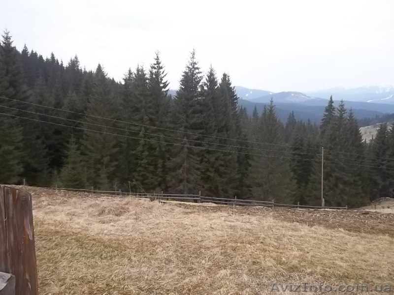 земля Яблуница новая дорога на Буковель - <ro>Изображение</ro><ru>Изображение</ru> #3, <ru>Объявление</ru> #243655