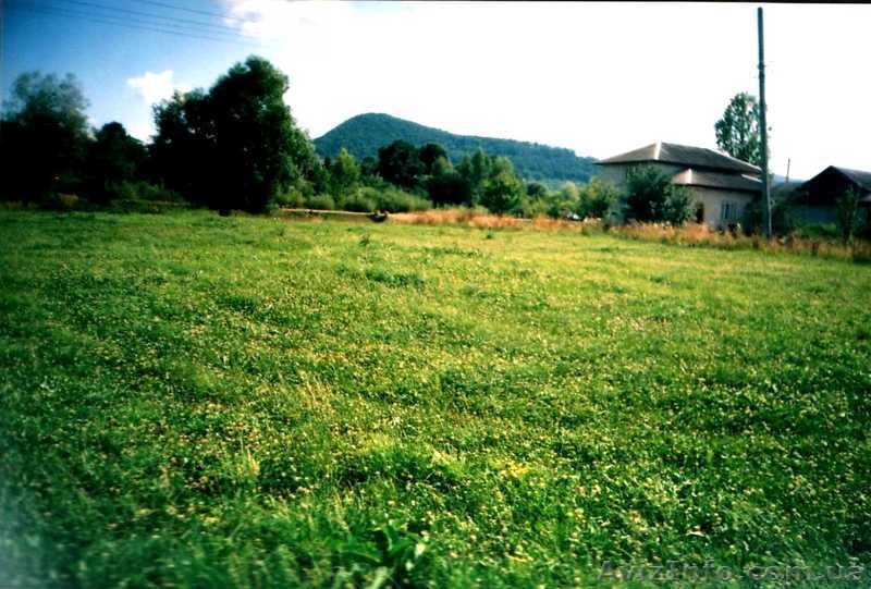 Земельна ділянка в карпатах с.Пістинь - <ro>Изображение</ro><ru>Изображение</ru> #1, <ru>Объявление</ru> #263931