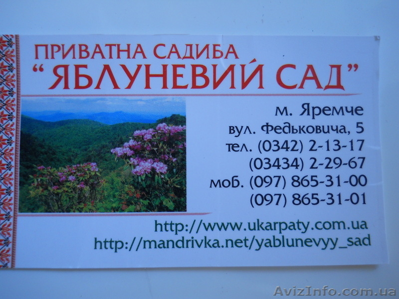 Відпочинок в Яремче 50 грн за добу.Всі умови - <ro>Изображение</ro><ru>Изображение</ru> #3, <ru>Объявление</ru> #313481
