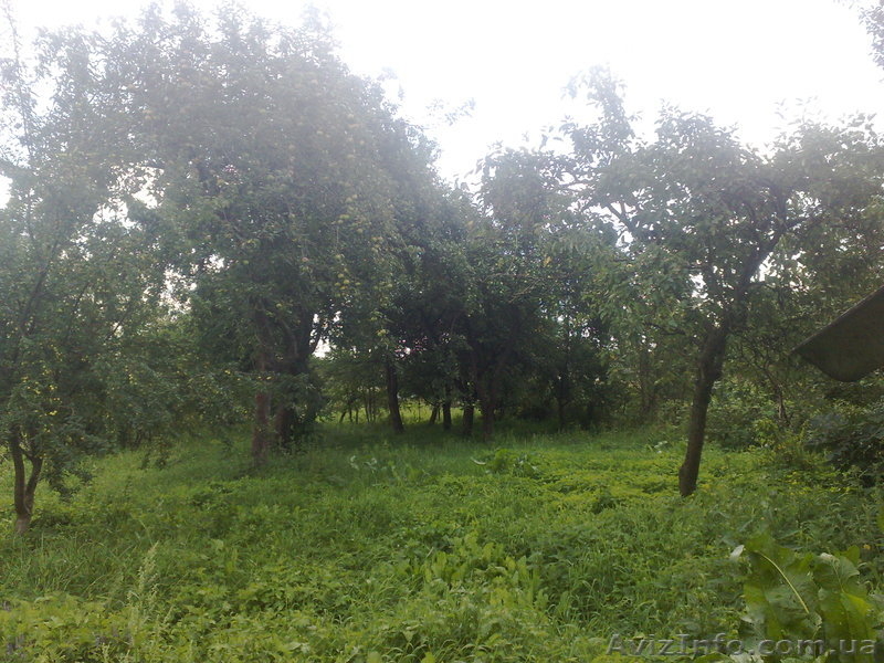 Дача в Підгірках  - <ro>Изображение</ro><ru>Изображение</ru> #5, <ru>Объявление</ru> #350722