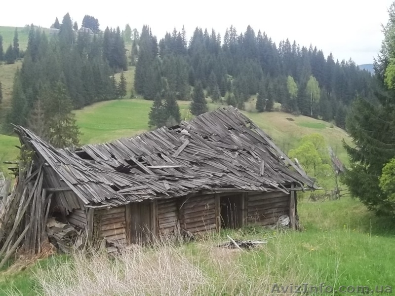 земельные участки в Карпатах Яблуница возле Буковеля - <ro>Изображение</ro><ru>Изображение</ru> #2, <ru>Объявление</ru> #453197