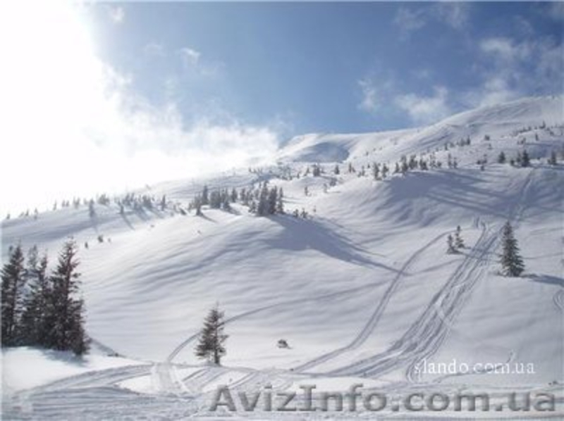 Котедж в карпатах - <ro>Изображение</ro><ru>Изображение</ru> #3, <ru>Объявление</ru> #469406