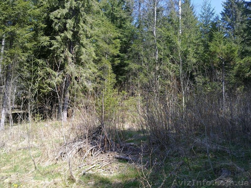 Продам участок  в Карпатах- Яблуница, новая дорога на "ТК Буковель", фасад - <ro>Изображение</ro><ru>Изображение</ru> #1, <ru>Объявление</ru> #650265