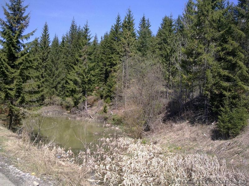 Продам участок  в Карпатах- Яблуница, новая дорога на "ТК Буковель", фасад - <ro>Изображение</ro><ru>Изображение</ru> #2, <ru>Объявление</ru> #650265