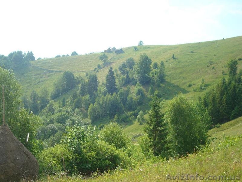 Продам ділянку в Карпатах - Косів, село Річка - <ro>Изображение</ro><ru>Изображение</ru> #1, <ru>Объявление</ru> #652675